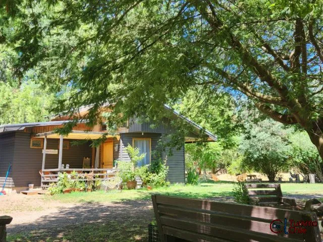 Cabaña bajo los árboles con banca y jardín natural