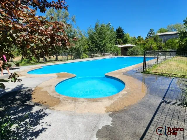 Piscina con forma orgánica rodeada de jardín y árboles