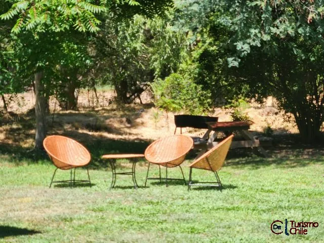 Sillas de mimbre y parrilla en jardín sombreado