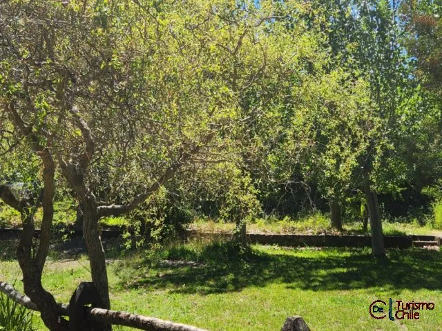 Árboles nativos y naturaleza en los jardines del complejo